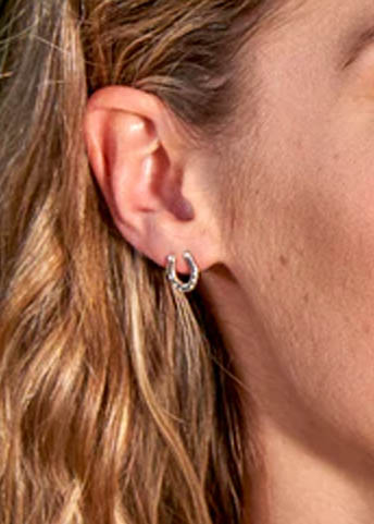 Horse earrings